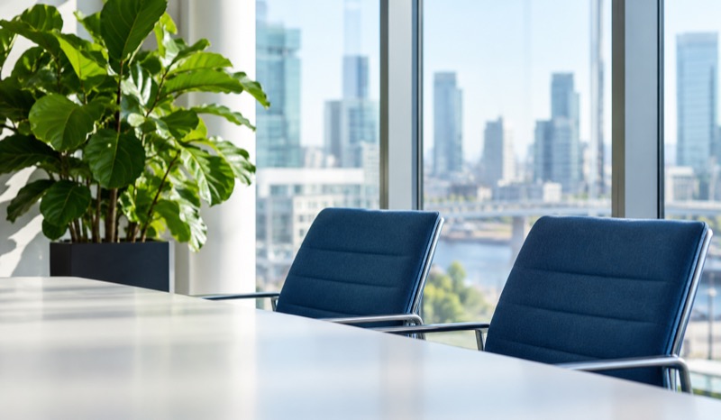 Blue chairs and a green plant in a bright boardroom
